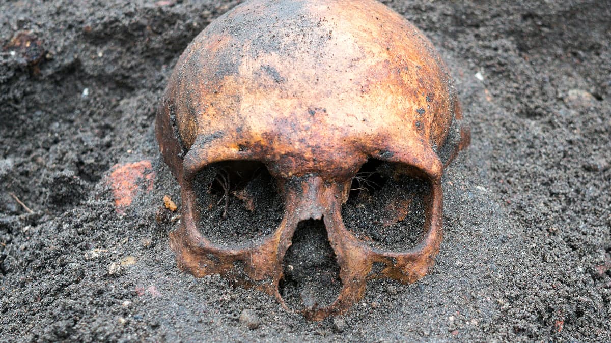 Ancient DNA Finally Solves a 16th-Century Murder Mystery - ScienceAlert